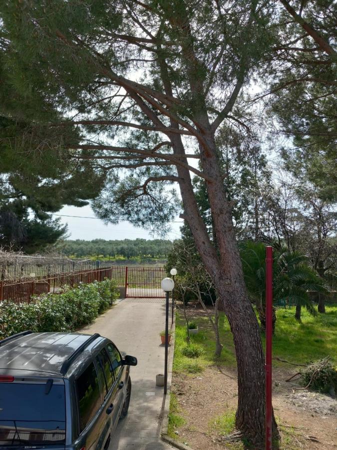 Villa Udi Bitonto Extérieur photo
